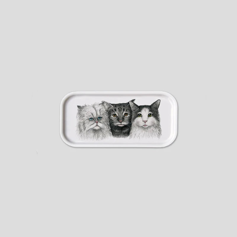 Plateau cocktails - Cats
