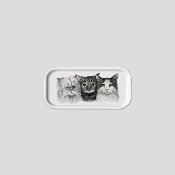 Plateau cocktails - Cats