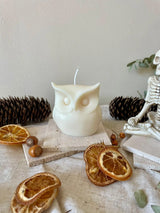 Hibougie - bougie décorative