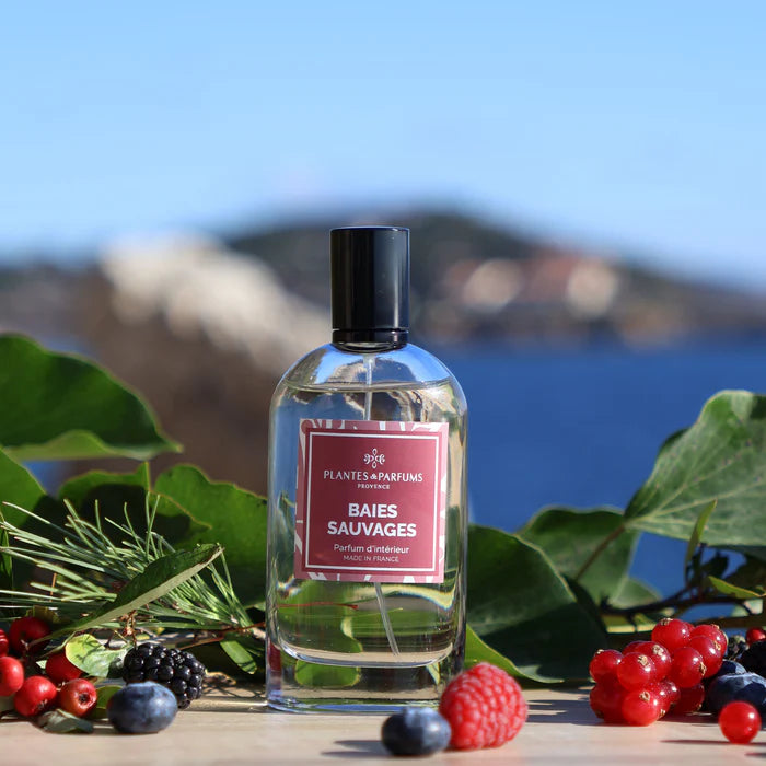 Parfum d'intérieur 100 ML - Baies sauvages